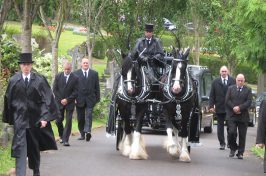funeral procession with horses