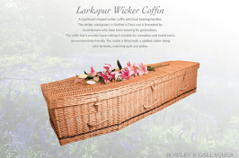 Larkspur wicker coffin