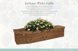 Larkspur wicker coffin